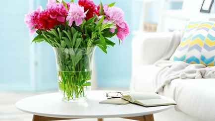 Сделайте так — и пионы простоят в вазе в 2 раза дольше. Зачем понадобится молоток?