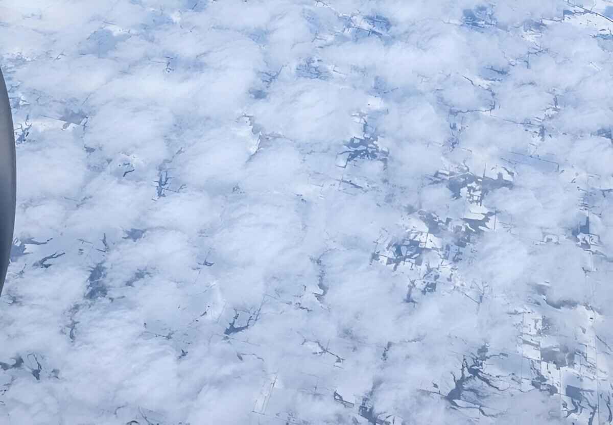 Обрезанное изображение. Целое ищите ниже