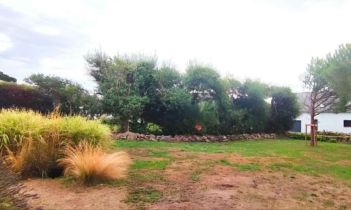 Смогут только гении? Найдите кота на снимке за 15 секунд