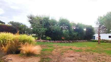 Смогут только гении? Найдите кота на снимке за 15 секунд