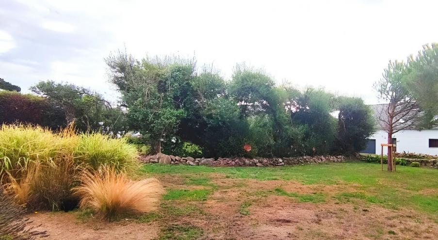 На фотографии изображен сад загородного дома с деревьями