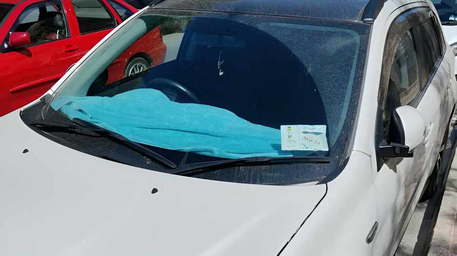 Зачем белорусам класть полотенце на приборную панель авто? Начинать нужно уже весной