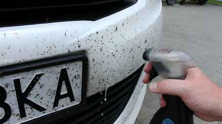 Как защитить кузов и салон автомобиля от нашествия насекомых? Эти советы помогут избежать проблем