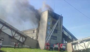 Под Солигорском на одном из крупнейших торфобрикетных заводов Беларуси вспыхнул пожар