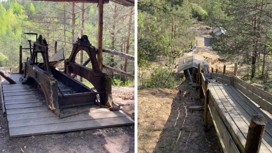 Белоруска показала "золотой прииск" в лесу под Минском. Как добраться?