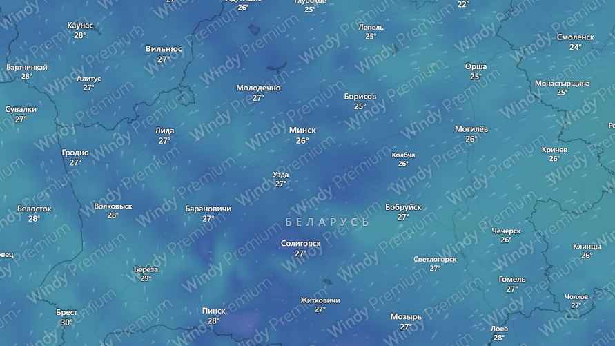Скриншот: Windy.com