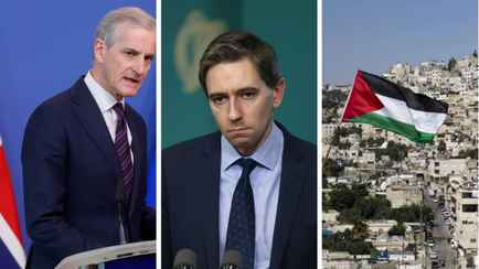 Норвегия и Ирландия признали Палестину государством. Кто еще?