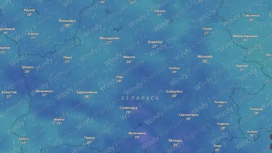 Скриншот: Windy.com