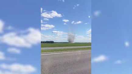 Белорусы сняли на видео «пыльного дьявола» под Берёзой