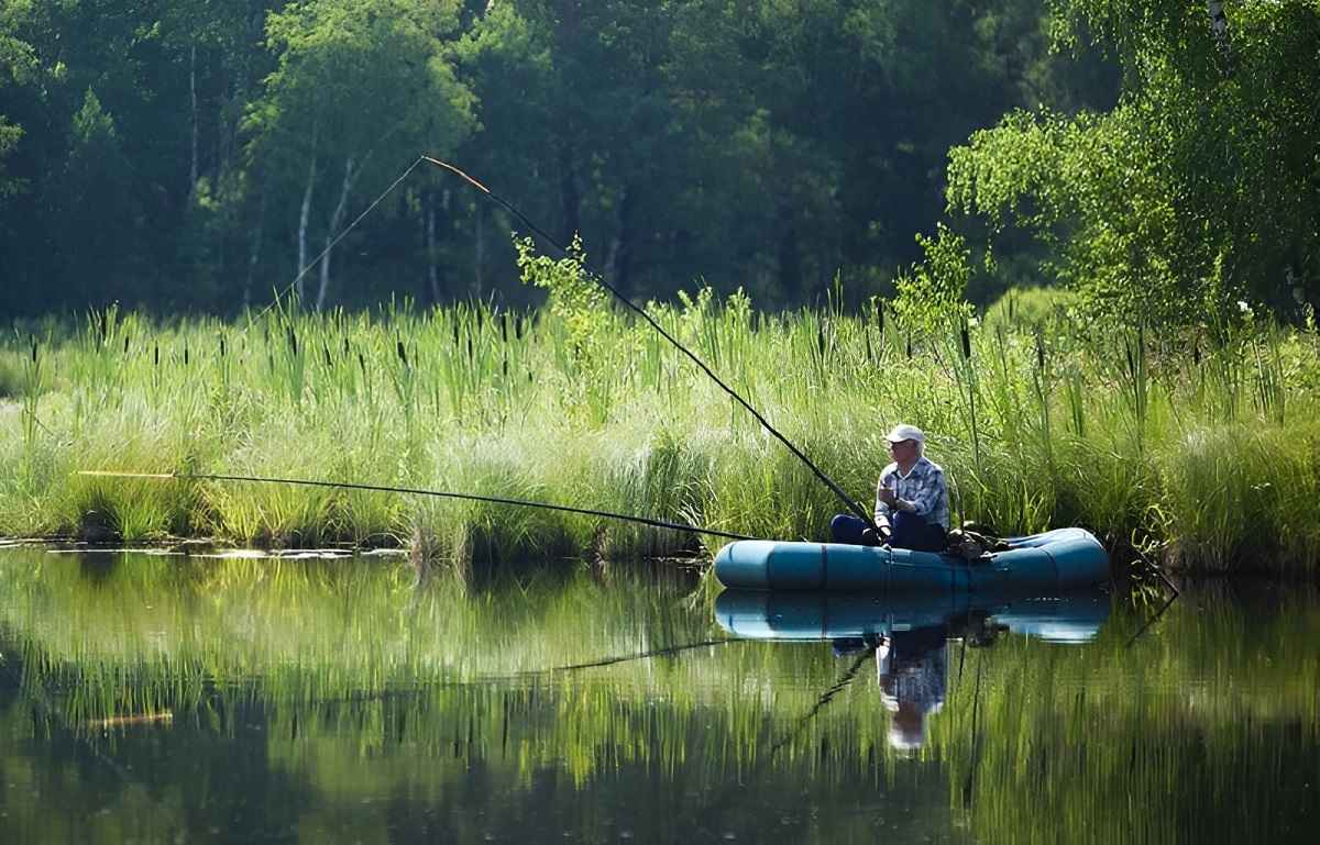 Фото иллюстрационное
