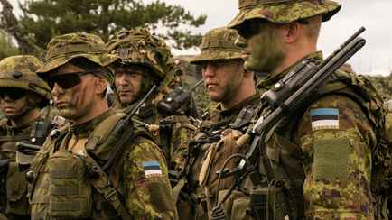 В Эстонии заявили о возможности отправить войска в Украину для выполнения тыловых задач