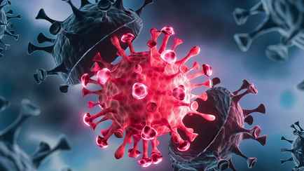 «Подъем будет» — Академик РАН Онищенко допустил рост заболеваемости COVID-19 летом из-за штамма FLIRT