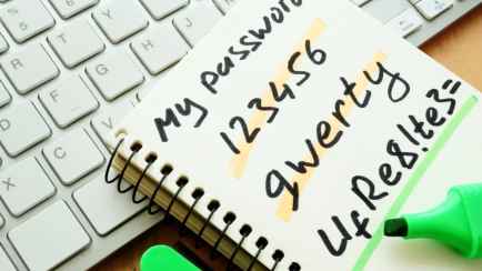 Почти у миллиона белорусов «утекли» данные с этих 3 сайтов. Где нужно срочно поменять пароль?