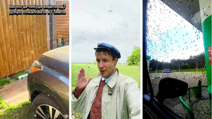 Скриншоты из видео в TikTok/ Гомельская область