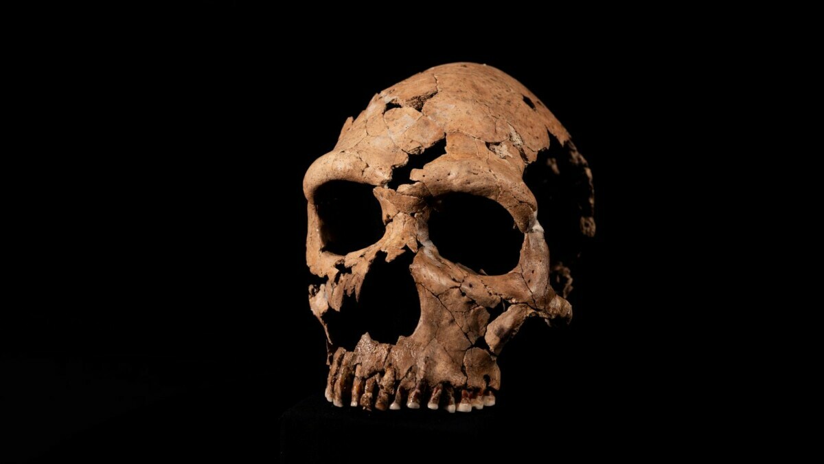 Британские учёные воссоздали лицо женщины, жившей 75 тыс. лет назад. Вот как она выглядела