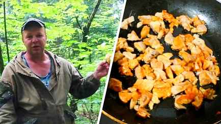 В Беларуси пошли грибы со вкусом курицы. Где найти и как готовить?