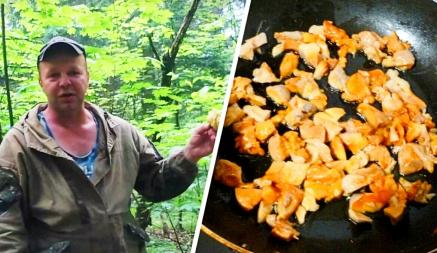 В Беларуси пошли грибы со вкусом курицы. Где найти и как готовить?