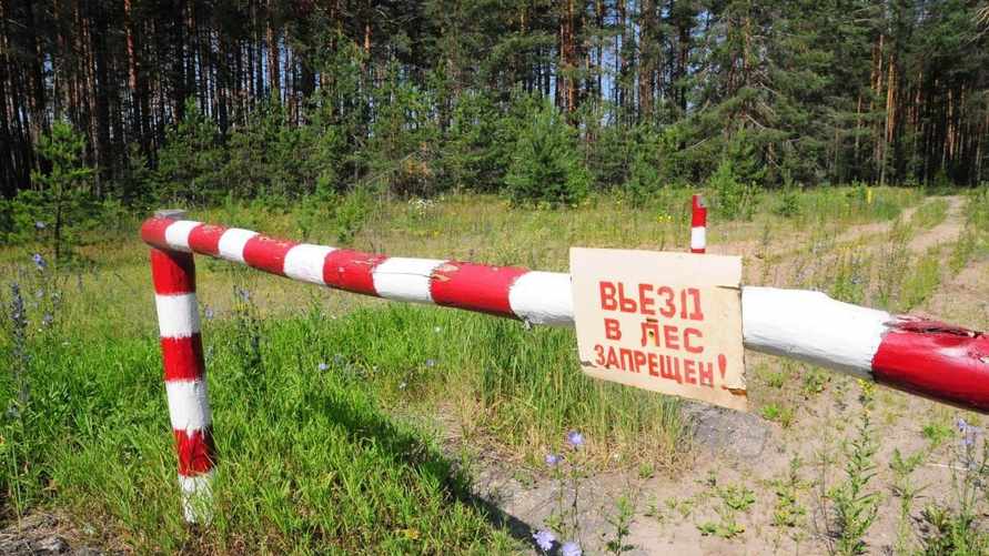 Фото иллюстрационное