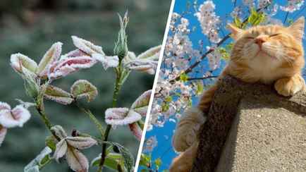 Последняя ночь с заморозками до -2°С? Синоптики рассказали, когда в Беларуси прогреется до +26°С