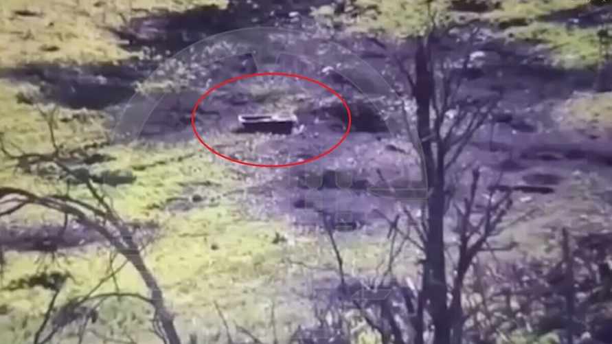 Скриншот видео