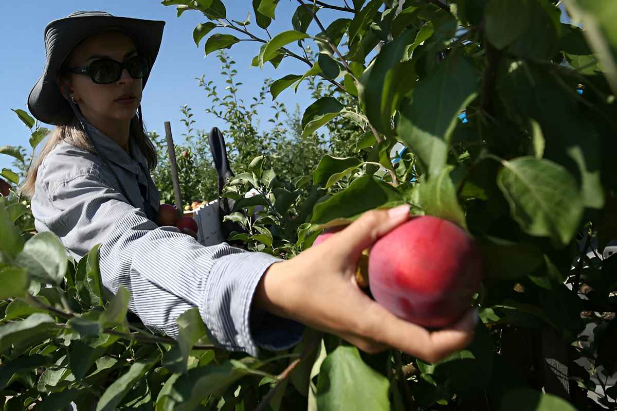 Фото иллюстрационное