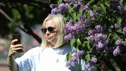 В Минске зацвела сирень. Какой штраф грозит белорусам за сорванный в городе букет?