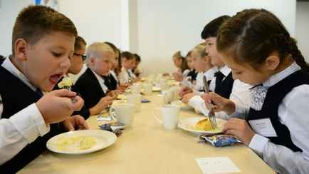 Рыба с гельминтозом и не только. Прокуроры проверили организацию питания в детсадах и школах Гомельщины