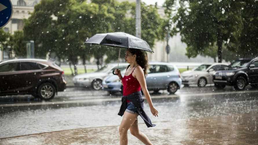 Синоптики предупредили белорусов о приближении "холодного фронта" в конце июня. Где и когда ждать дожди и грозы?