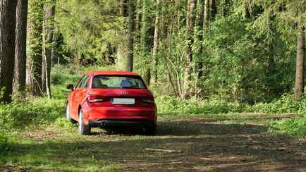 Егерь устроил охоту на «подозрительный автомобиль» в Налибокской пуще. Кто добыча?