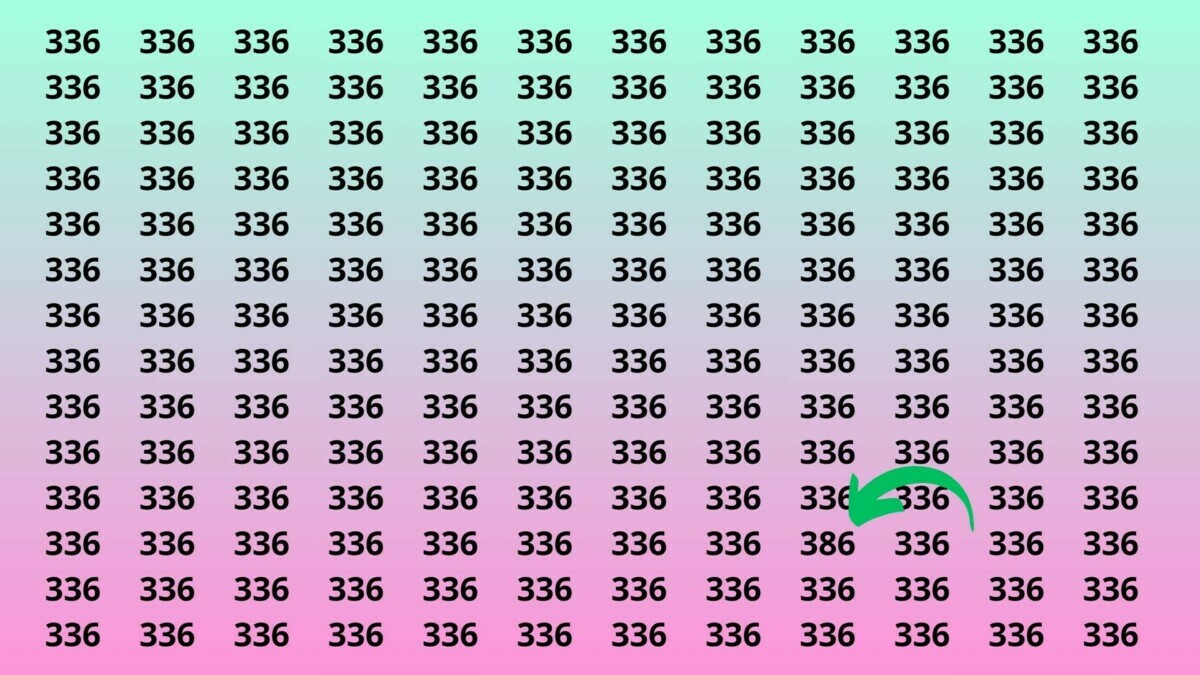 Эта задачка для самых наблюдательных. Сможете ли вы найти 386 за 10 секунд?