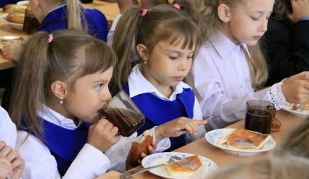 Грудка в сметанном соусе и не только. Технологи назвали новые блюда для проекта меню в школах Минска