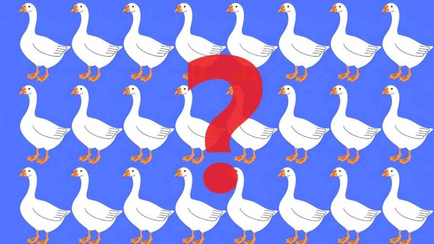 Этот быстрый тест на восприятие проваливают почти все. А вы сможете найти особенного гуся за 10 секунд?