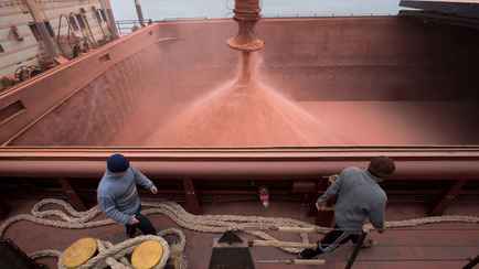 Польские производители удобрений предложили обложить белорусский калий 30%-ной пошлиной