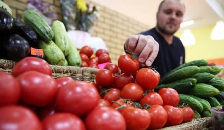 Огурцы – 80 коп., помидоры – 4,5 руб. В Брестском исполкоме озвучили закупочные цены на сезонные овощи. Почем на рынке?