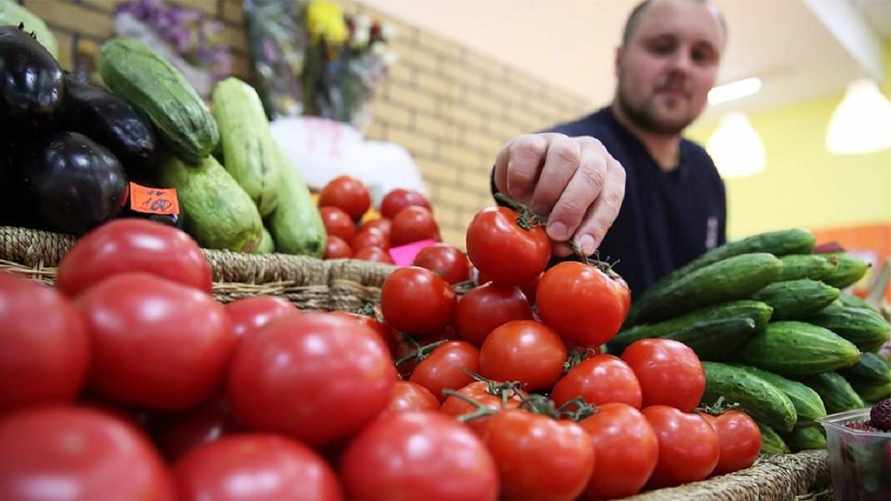 Фото иллюстрационное: "Известия"/Зураб Джавахадзе