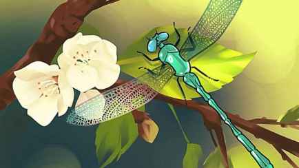 Только умнейшие смогут заметить ошибку на этой картинке. Что не так?