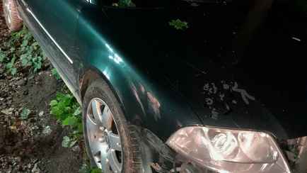 Литовский пограничник застрелил человека на границе с Беларусью. Что известно?