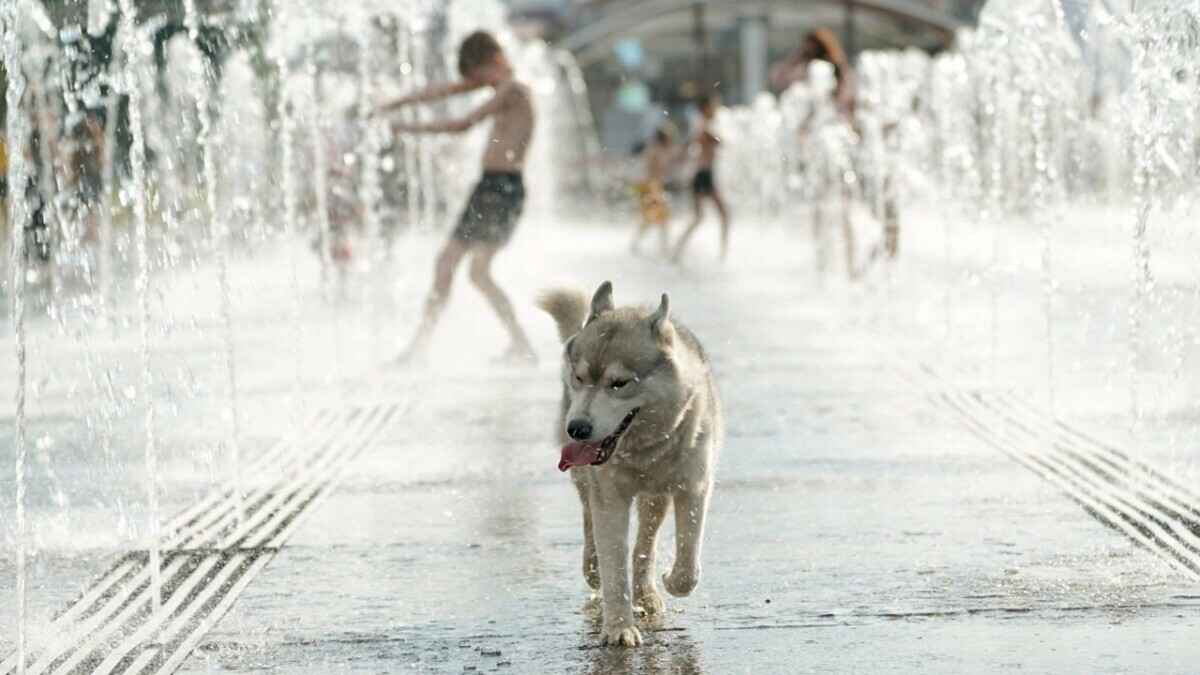 Фото иллюстрационное