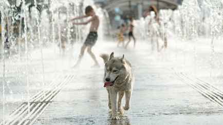 Сколько продлится «африканская» жара в Беларуси? Синоптики и спасатели объявили оранжевый уровень опасности из-за +33°C и гроз