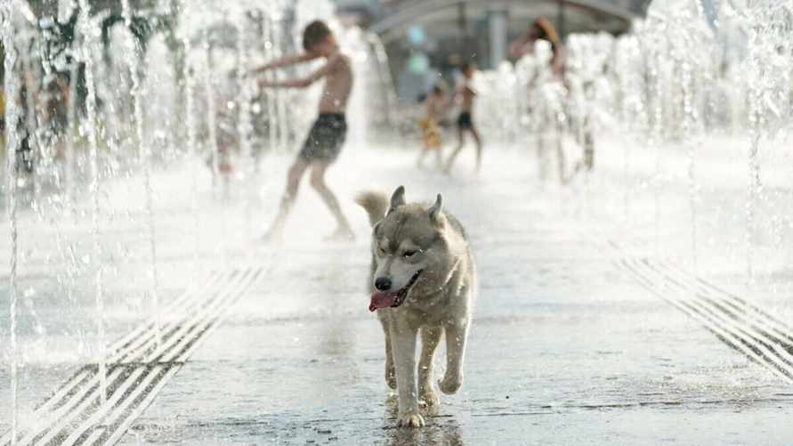 Фото иллюстрационное