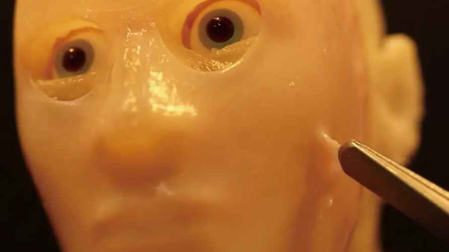 Трехмерная форма головы, покрытая живой кожей. Фото: Такеучи и др. (CC-BY-ND)