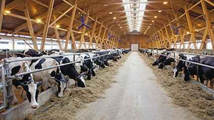 Совмин решил по-новому определять неплатежеспособность белорусских сельхозорганизаций. Как?