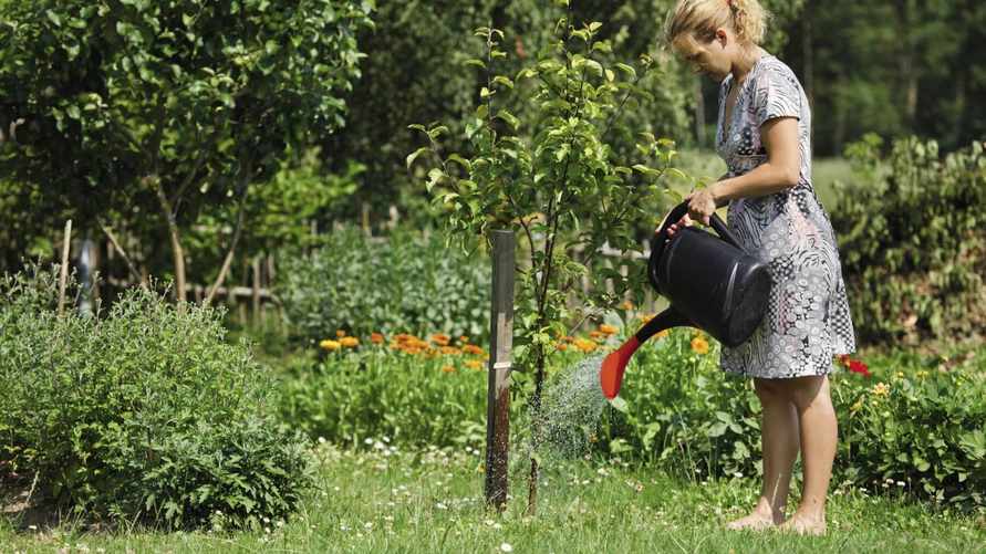 Фото иллюстративное