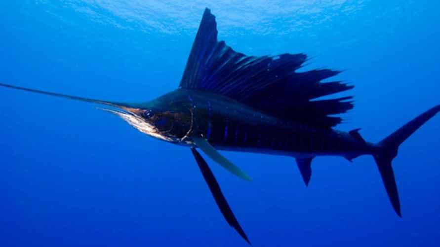 Фото иллюстрационное