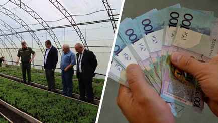 «Тяжелейший труд!» — Белорусский министр потребовал повысить зарплаты этой категории работников