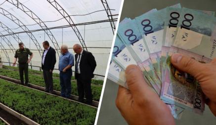 «Тяжелейший труд!» — Белорусский министр потребовал повысить зарплаты этой категории работников