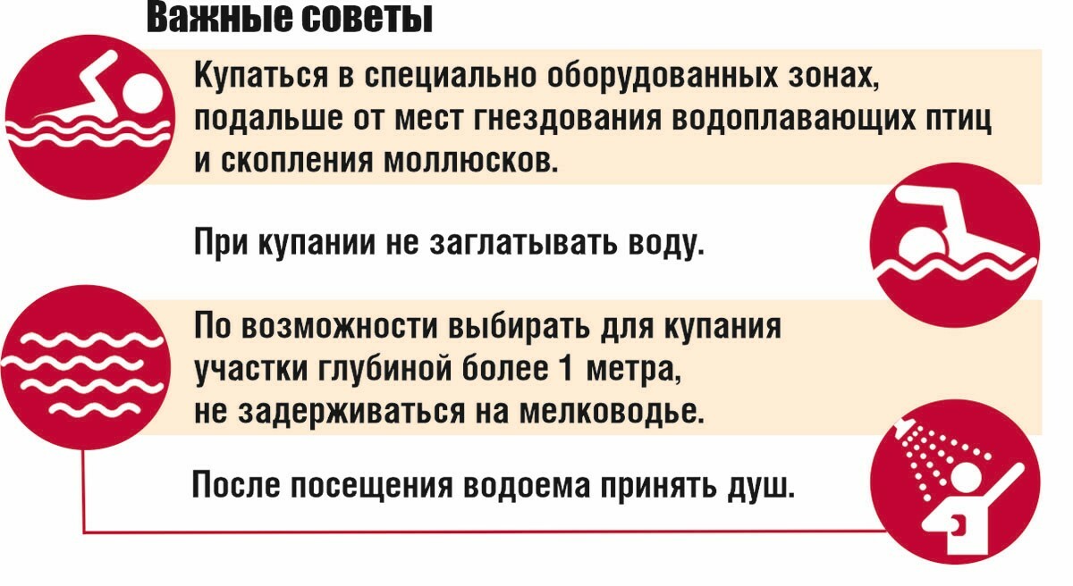 Санэпидемслужба ограничила купание на 4 пляжах Беларуси. Куда посоветовали не брать с собой детей?