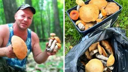 «3 литра лисичек за пару часов» — Белорусы поделились «щедрыми дарами» в первые дни лета