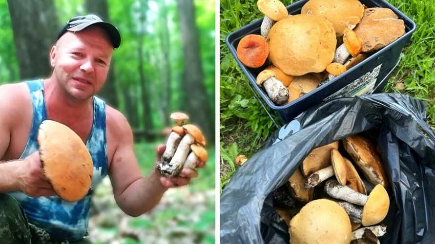 "3 литра лисичек за пару часов" — Белорусы поделились "щедрыми дарами" в первые дни лета