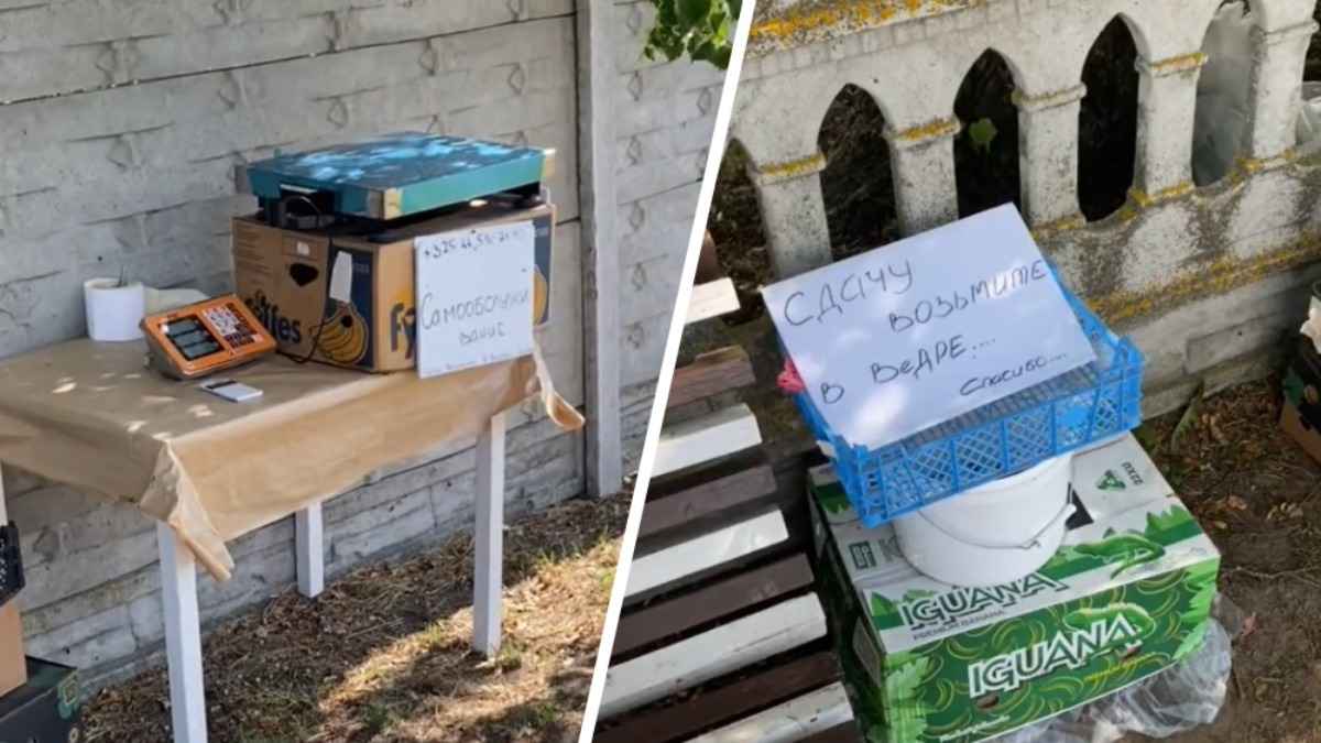 "Продавец - в стороне с винтовкой?" - Белоруска показала в TikTok "кассу самообслуживания" от фермеров в Брестской области